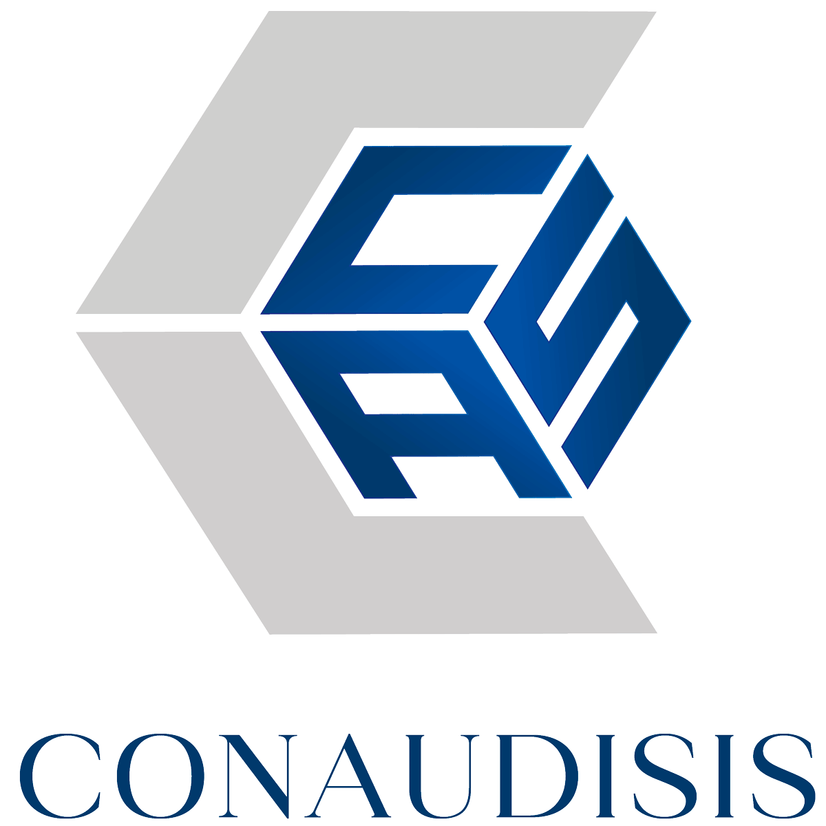 CONAUDISIS Y ASOCIADOS S.A.S